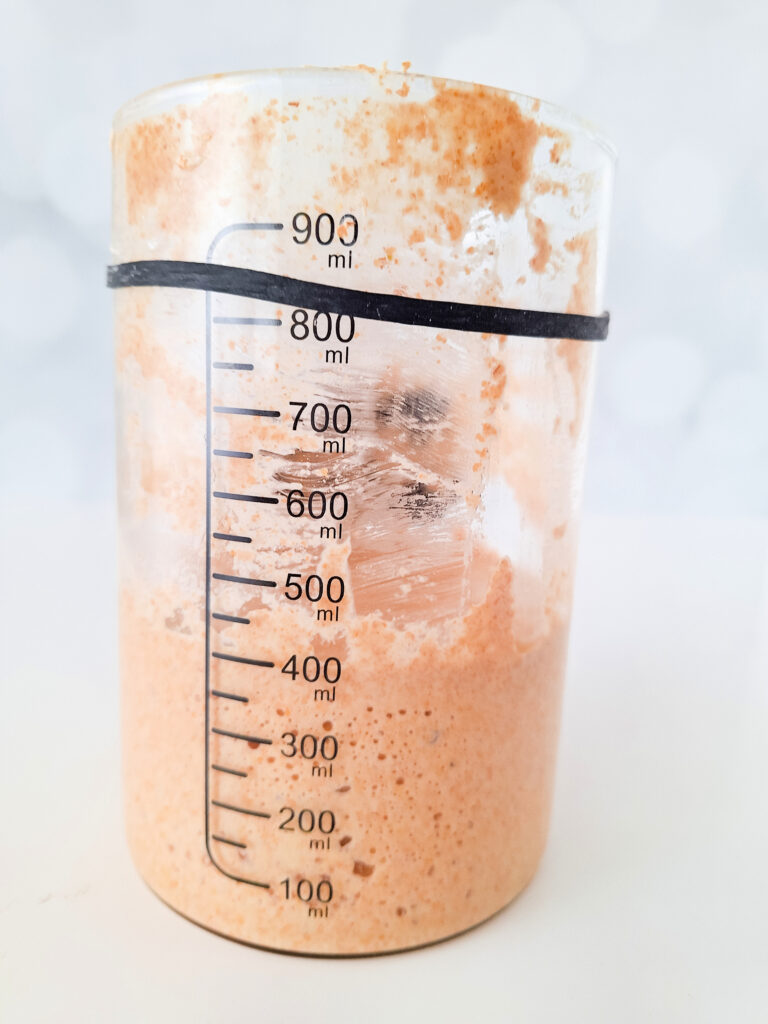 Fermenting sourdough starter in container